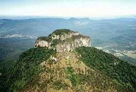 Mount Lindesay (Queensland) httpsuploadwikimediaorgwikipediacommonsthu