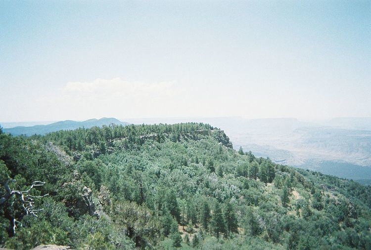 Mount Logan Wilderness