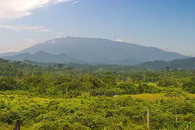 Mount Mantalingajan httpsuploadwikimediaorgwikipediacommonsthu