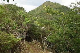 Mount Mitake (Hyōgo) httpsuploadwikimediaorgwikipediacommonsthu