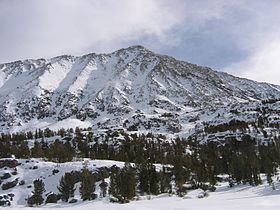 Mount Morgan (Inyo County, California) httpsuploadwikimediaorgwikipediacommonsthu