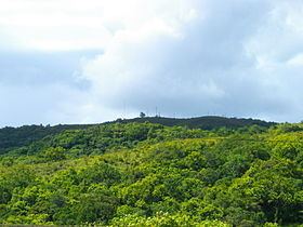 Mount Ngerchelchuus httpsuploadwikimediaorgwikipediacommonsthu