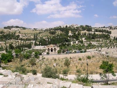 Mount of Olives wwwbibleplacescomwpcontentuploads201507Mou