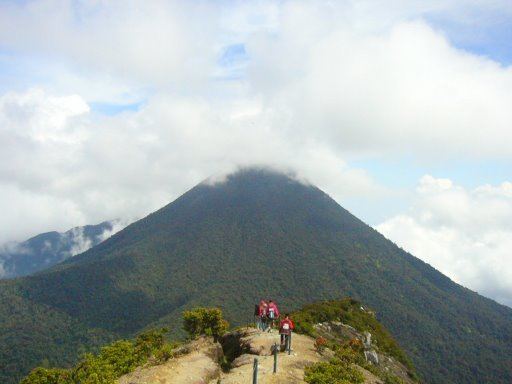 Mount Pangrango Mount GedePangrango National Park Bandung West Java