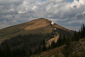 Mount Parashka httpsuploadwikimediaorgwikipediacommonsthu