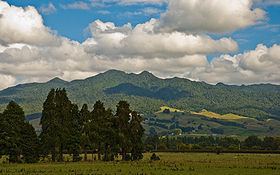 Mount Pirongia httpsuploadwikimediaorgwikipediacommonsthu