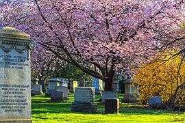 Mount Pleasant Cemetery, Toronto Mount Pleasant Cemetery Toronto Wikipedia