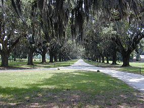 Mount Pleasant, South Carolina httpsuploadwikimediaorgwikipediacommonsthu