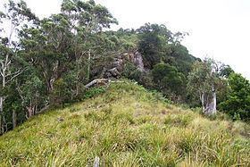 Mount Royal (New South Wales) httpsuploadwikimediaorgwikipediacommonsthu