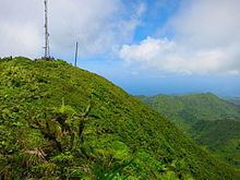 Mount Saint Catherine (Grenada) httpsuploadwikimediaorgwikipediacommonsthu