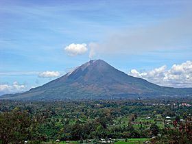 Mount Sinabung httpsuploadwikimediaorgwikipediacommonsthu