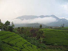 Mount Talang httpsuploadwikimediaorgwikipediacommonsthu