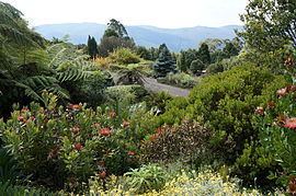 Mount Tomah, New South Wales httpsuploadwikimediaorgwikipediacommonsthu