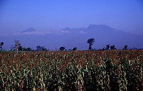 Mount Wilis httpsuploadwikimediaorgwikipediacommonsthu