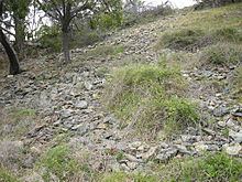 Mount William stone axe quarry httpsuploadwikimediaorgwikipediacommonsthu