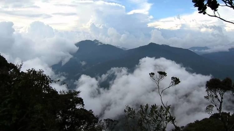 Mount Yong Belar Misi menawan puncak Gunung Yong Belar 6 amp 7 Dec 14 YouTube