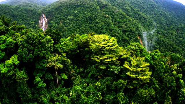 Mountain Pine Ridge Forest Reserve 10 Top Hiking Destinations In Belize Fresh Air Junkie