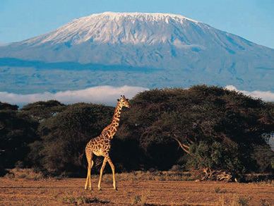 Mountains of the Moon (Africa) Trekking and Mountain Climbing Holidays in Africa