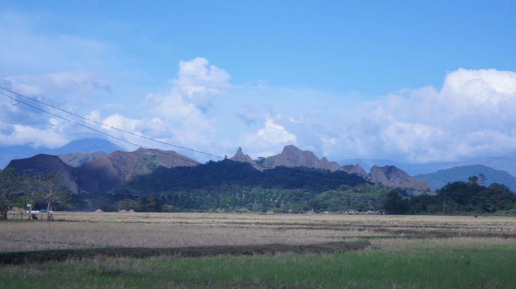 Mounts Iglit–Baco National Park