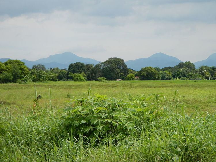 Mounts Palay-Palay–Mataas-na-Gulod Protected Landscape