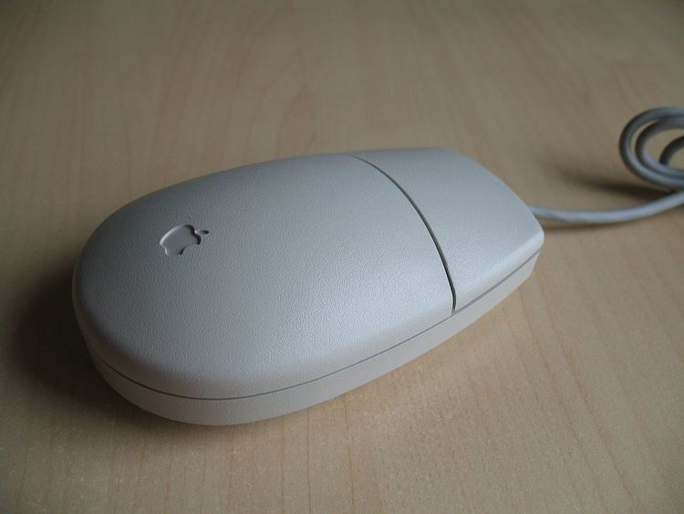 Mouse button