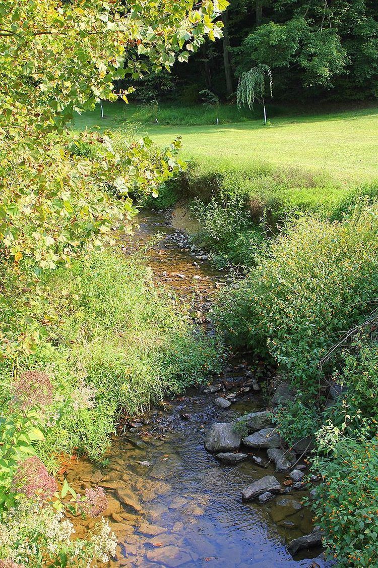 Mouse Creek (Schwaben Creek)