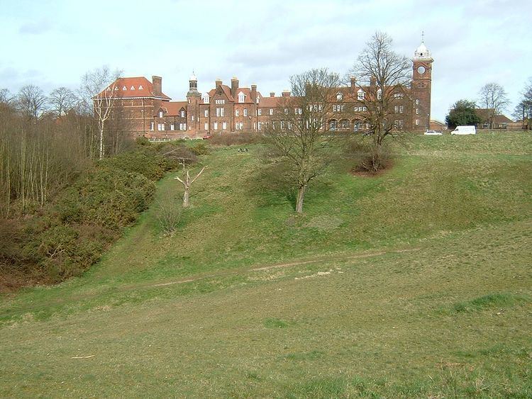 Mousehold Heath