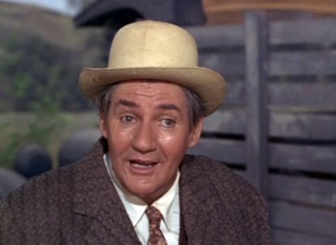 Mr. Haney Pat Buttram as Mr Haney Sitcoms Online Photo Galleries