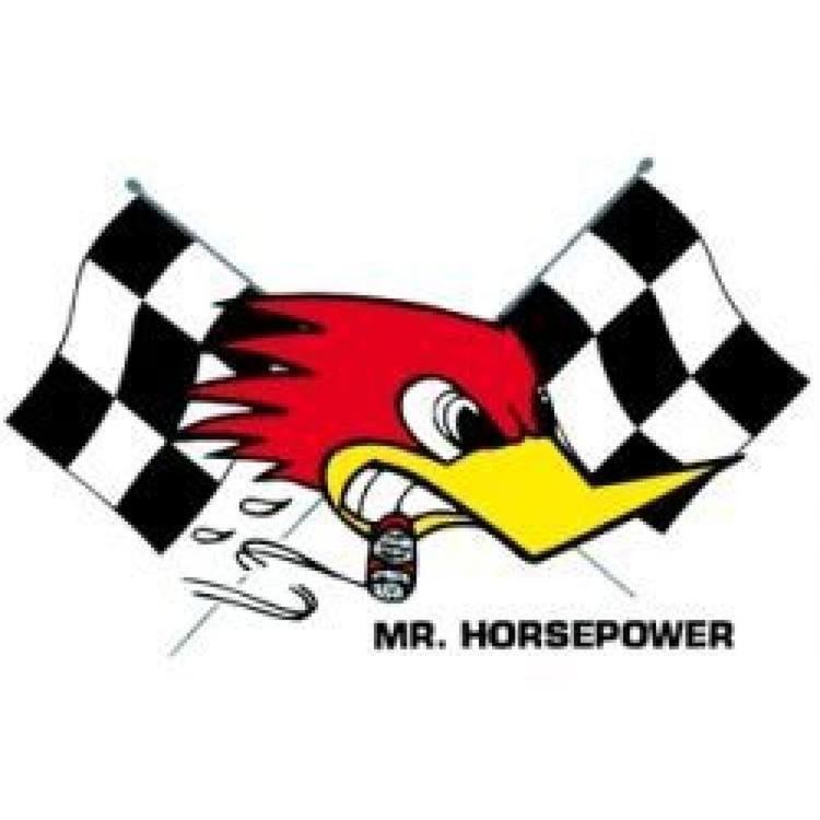 Mr. Horsepower Mr Horsepower Checkered Flag Large Decal