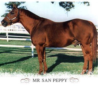 Mr San Peppy 1000 images about Horse One Badgers Family Tree on Pinterest