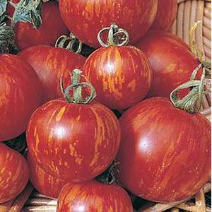 Mr. Stripey Stripey Heirloom Tomato Seeds