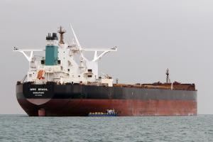MS Ore Brasil ORE BRASIL Bulk Carrier Details and current position IMO 9488918