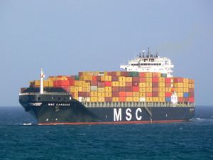 MSC Carouge MSC CAROUGE Container Ship Details and current position IMO