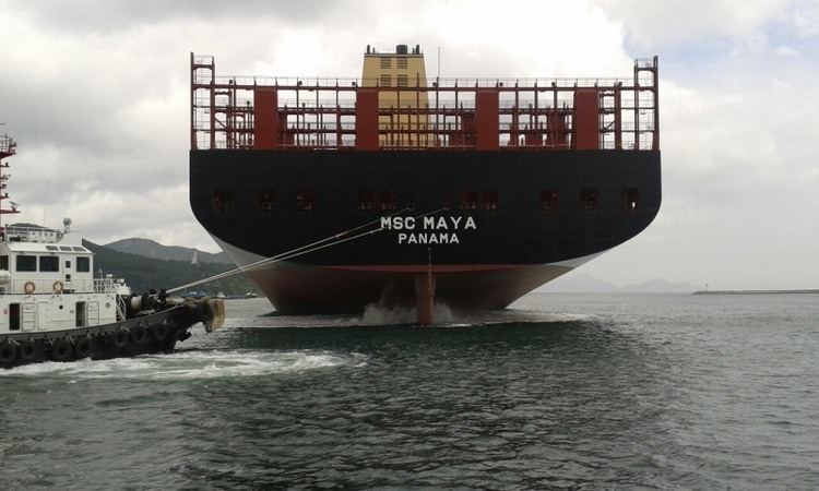MSC Maya MSC MAYA IMO 9708679 ShipSpottingcom Ship Photos and Ship Tracker