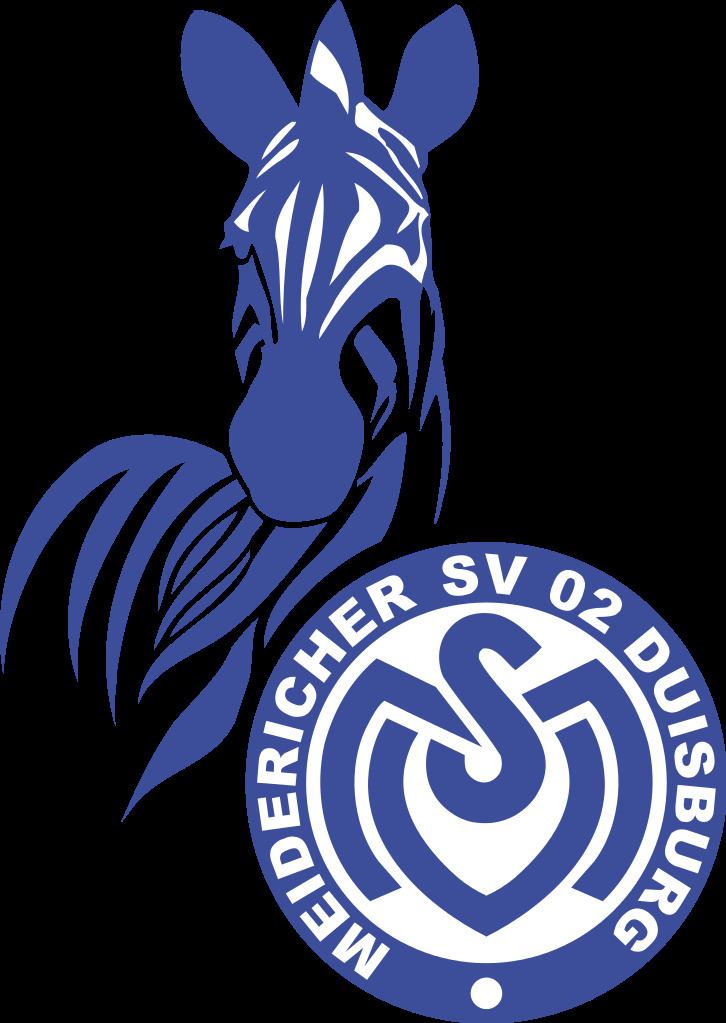 Original Mannschaftskarte MSV Duisburg 2008-09