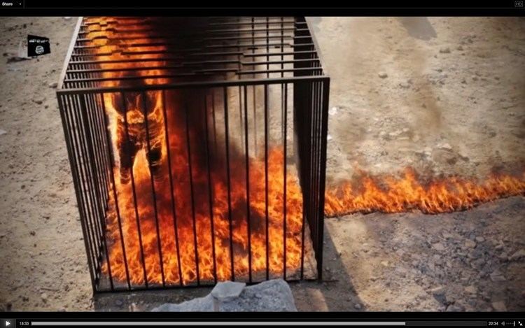 Muath Al-Kasasbeh was burned to death