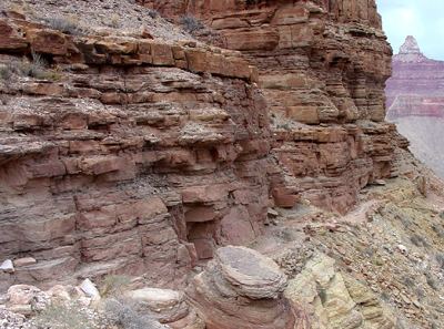 Muav Limestone Geology of National Parks