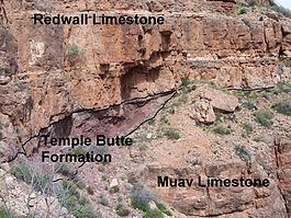 Muav Limestone httpsuploadwikimediaorgwikipediacommonsthu