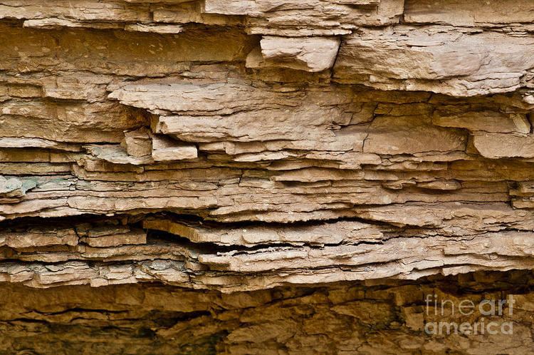 Muav Limestone Muav Limestone In The Grand Canyon Az Photograph by William H Mullins