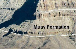 Muav Limestone Muav Formation Grand Canyon