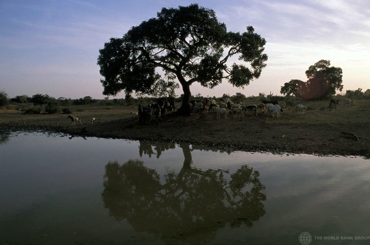 Muchinga Province Beautiful Landscapes of Muchinga Province