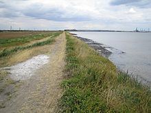 Mucking Flats and Marshes httpsuploadwikimediaorgwikipediacommonsthu