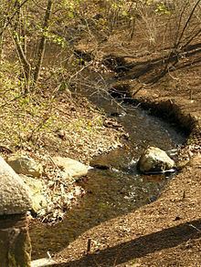 Muddy River (Massachusetts) httpsuploadwikimediaorgwikipediacommonsthu