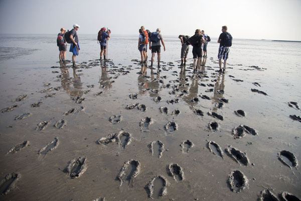 Mudflat hiking Mudflat hiking Ameland Ameland Travel Story and Pictures from