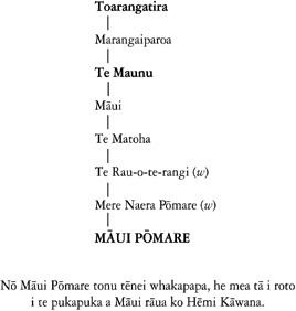 Māui Pōmare Pomare Maui Wiremu Piti Naera Whakapapa of Maui Wiremu Piti Naera