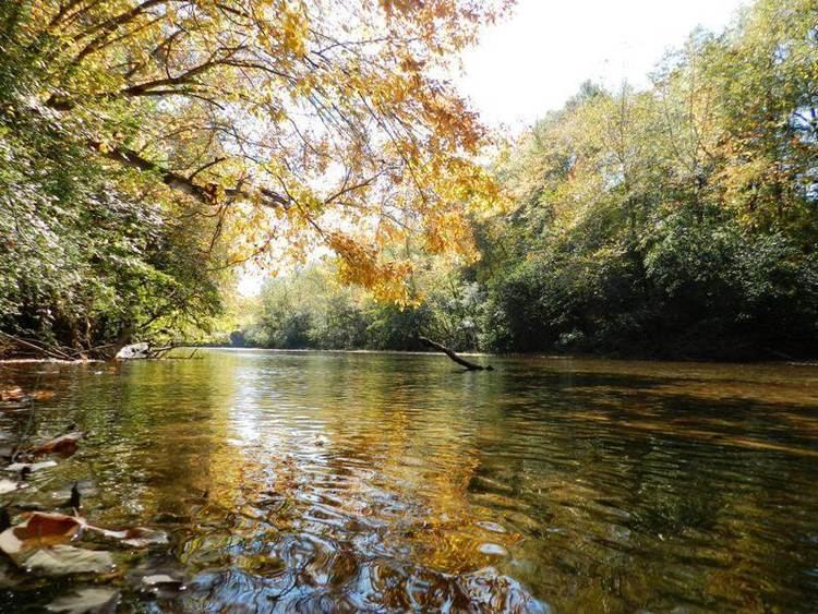 Mulberry Creek (Alabama River) wwwmossyoakpropertiescomImagesProperties20259