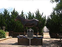 Muleshoe, Texas httpsuploadwikimediaorgwikipediacommonsthu