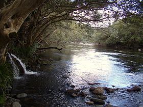 Mulgrave River httpsuploadwikimediaorgwikipediacommonsthu
