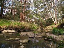 Mullum Mullum Creek httpsuploadwikimediaorgwikipediacommonsthu