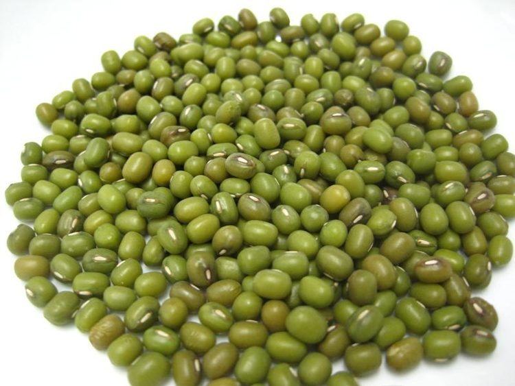 Mung bean Mung Bean Price Mung Bean Price Suppliers and Manufacturers at